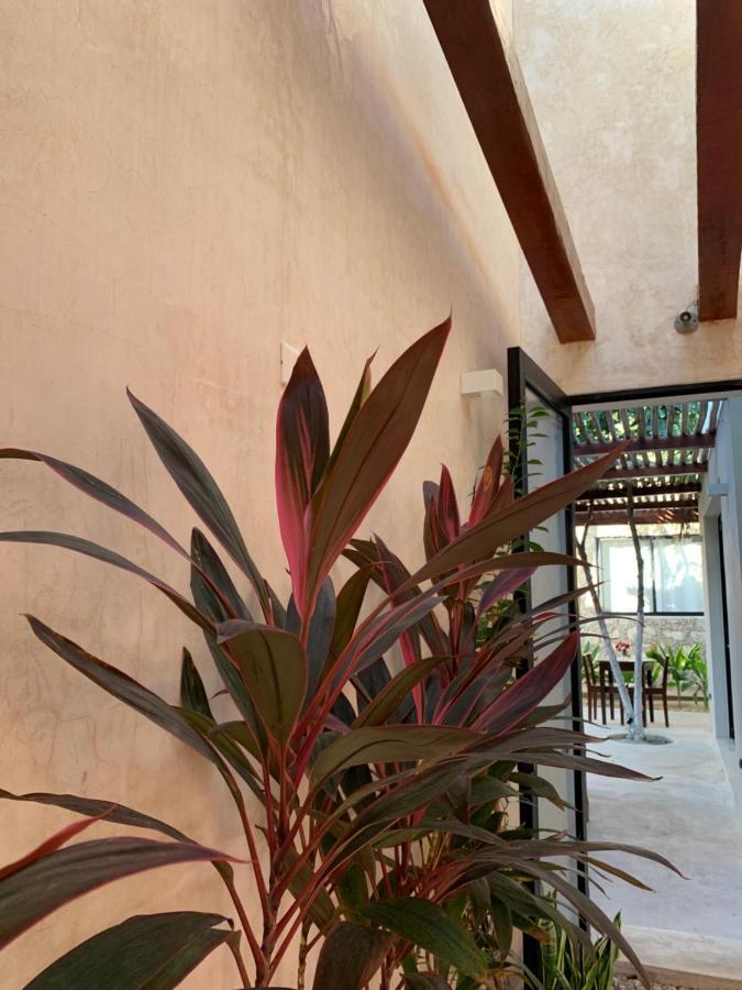 Pina Coloradas Ecolodge Yuluc Εξωτερικό φωτογραφία